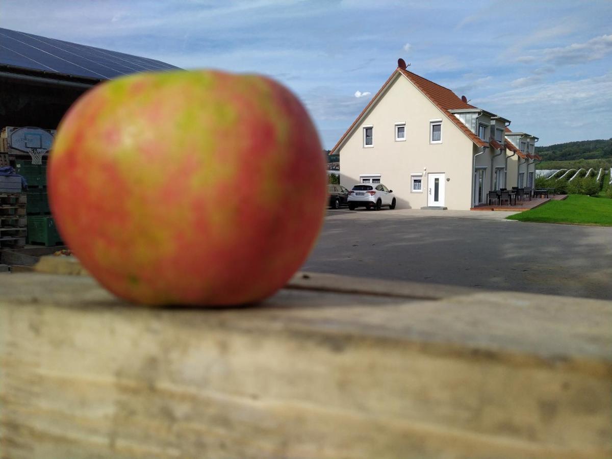 Ferienhof Dachsberg Wohnung Maritim 贝曼廷根 外观 照片